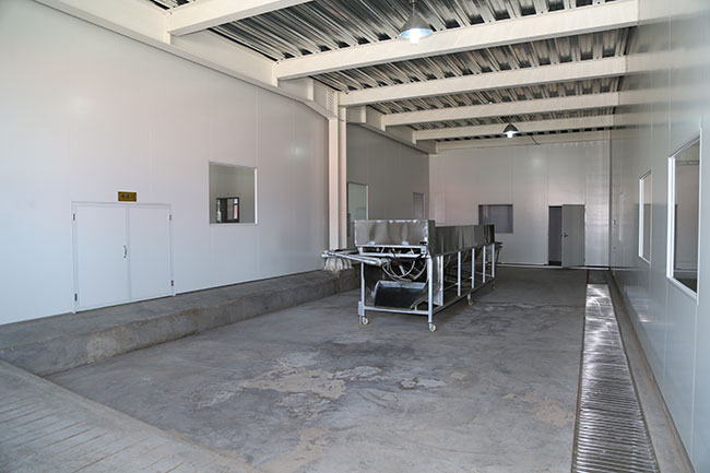 多功能洗參機(jī)